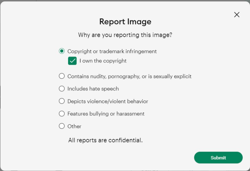 Design Space Report Form